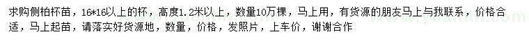 求購(gòu)高1.2米以上側(cè)柏