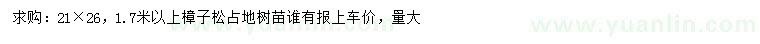 求購1.7米以上樟子松