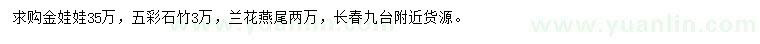 求購金娃娃、五彩石竹、蘭花燕尾