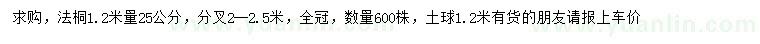 求購1.2米量25公分法桐