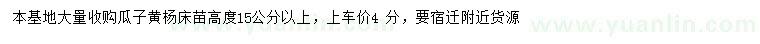 求購高15公分以上瓜子黃楊