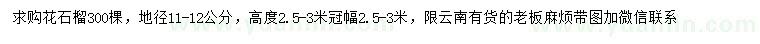 求購地徑11-12公分花石榴