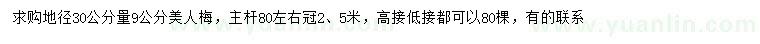 求購地徑30公分量9公分美人梅