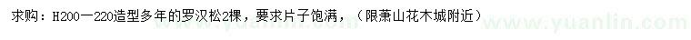 求購高200-220公分造型羅漢松