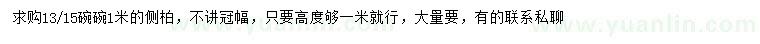 求購(gòu)1米側(cè)柏