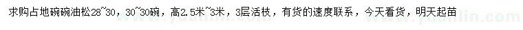 求購(gòu)28-30公分油松