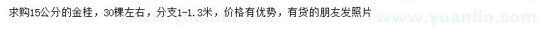 求購15公分金桂
