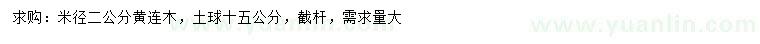 求購(gòu)米徑2公分黃連木