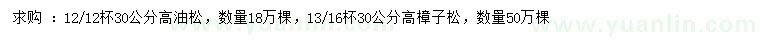 求購(gòu)高30公分油松、樟子松