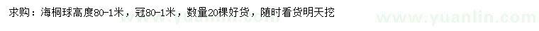 求購高80-100公分海桐球