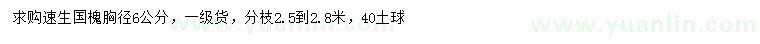 求購胸徑6公分速生國槐