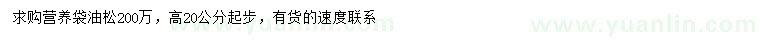 求購高20公分起步油松