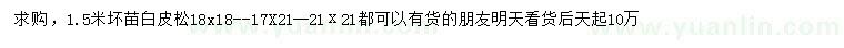 求購1.5米白皮松