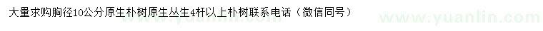 求購胸徑10公分樸樹、叢生樸樹		