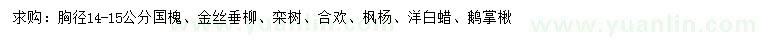 求購(gòu)國(guó)槐、金絲垂柳、欒樹(shù)等
