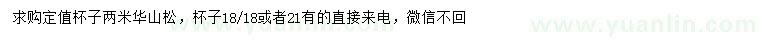 求購2米華山松