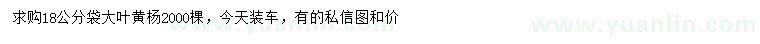 求購18公分大葉黃楊