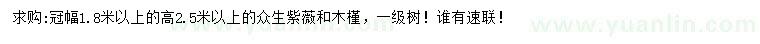 求購冠幅1.8米以上叢生紫薇、木槿