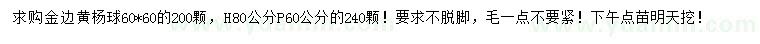 求購高80公分金邊黃楊球