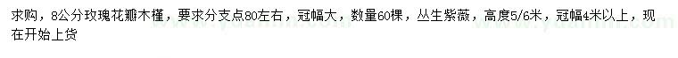 求購(gòu)8公分玫瑰花瓣木槿