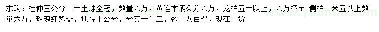 求購杜仲、黃連木、龍柏等