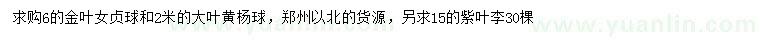 求購(gòu)金葉女貞球、大葉黃楊球、紫葉李