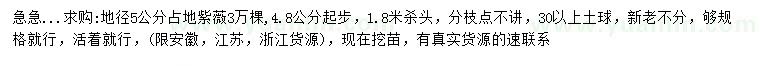 求購地徑5公分占地紫薇