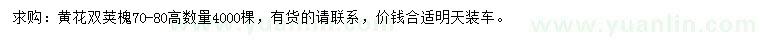 求購(gòu)黃花雙莢槐