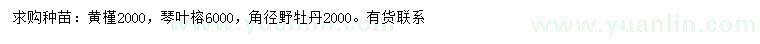 求購(gòu)黃槿、琴葉榕、角徑野牡丹