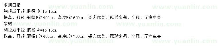 求購(gòu)胸徑15-16公分白蠟、欒樹(shù)