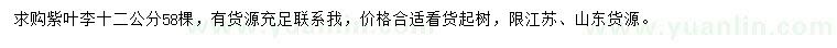 求購12公分紫葉李
