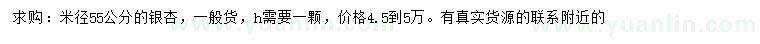 求購米徑55公分銀杏