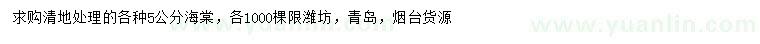 求購5公分海棠