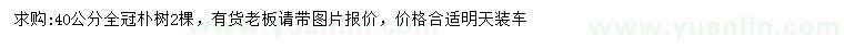 求購40公分樸樹