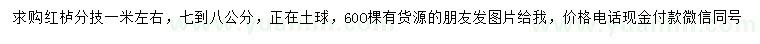 求購(gòu)7-8公分紅櫨