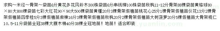 求購黃花多花風(fēng)鈴木、串錢柳、秋楓等