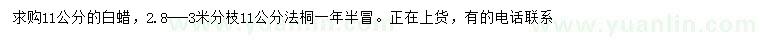 求購11公分白蠟、法桐