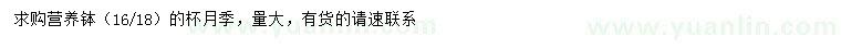 求購月季