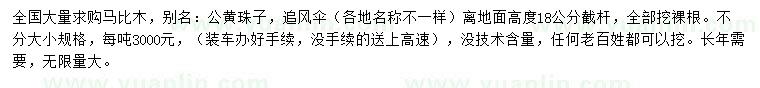 求購(gòu)高18公分馬比木
