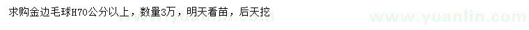 求購高70公分以上金邊毛球