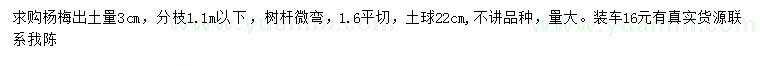 求購(gòu)3公分楊梅