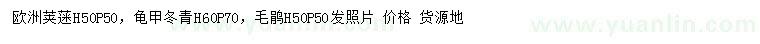 求購(gòu)歐洲莢蒾、龜甲冬青、毛鵑