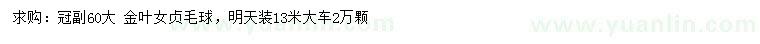 求購冠副60公分金葉女貞毛球