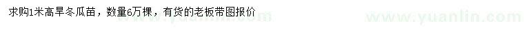 求購高1米旱冬瓜苗