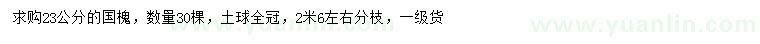 求購23公分國槐