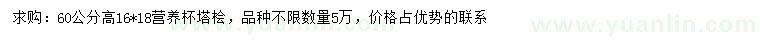 求購高60公分塔檜
