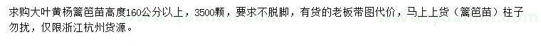 求購(gòu)高160公分以上大葉黃楊