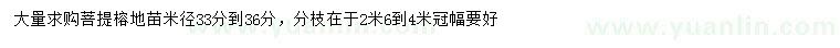 求購(gòu)米徑33-36公分菩提榕地苗