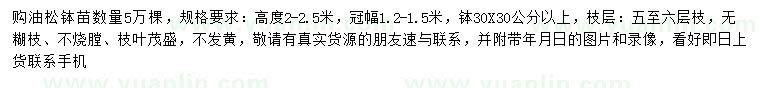 求購高2-2.5米油松