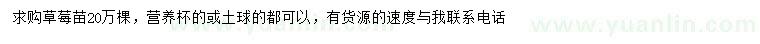 求購(gòu)草莓苗